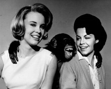 The Monkey's Uncle 1965 movie Cheryl Miller Annette Funicello 8x10 inch photo