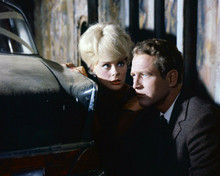 The Prize 1963 Paul Newman Elke Sommer hide beside Mercedes 190D 8x10 inch photo