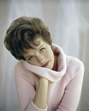 Julie Andrews lovely 1960's studio portrait in pink roll neck sweater 8x10 photo