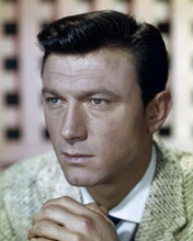 Laurence Harvey 1950's study of British star in sports jacket 8x10 inch photo