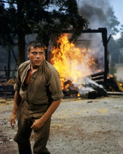 Oliver Reed in fire scene from 1969 Hannibal Brooks 8x10 inch photo