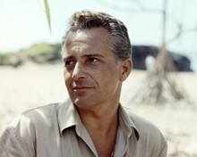 Rossano Brazzi 1960's portrait in safari style shirt 8x10 inch photo