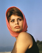 Sophia Loren gorgeous portrait early 1960's wearing pink head scarf 8x10 photo