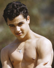 Sal Mineo beefcake bare chested pin-up 1950's portrait 8x10 inch photo