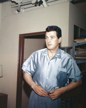Rock Hudson 1950's off-screen portrait in casual silver shirt 8x10 inch photo