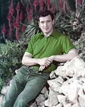 Rock Hudson 1955 portrait in polo shirt jeans All That heaven Allows 8x10 photo