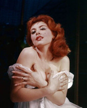 Tina Louise busty glamour portrait of TV's Ginger Gilligan's Island 8x10 photo