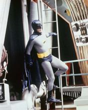 Batman TV series Adam West descends ladder 8x10 inch photo