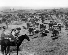 Giant Rock Hudson & Elizabeth Taylor on horseback Texas cattle ranch 8x10 photo