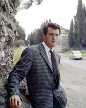 Rock Hudson early 1950's pose in suit in England posing by tree 8x10 inch photo