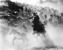 John Wayne on horseback in wild horse stampede Sons of Katie Elder 8x10 photo