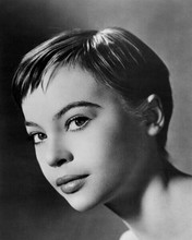 Leslie Caron beautiful portrait elfin like 1950's era 8x10 inch photo