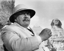 Peter Ustinov 1982 as Hercule Poirot Evil Under The Sun 8x10 inch photo