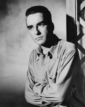 Montgomery Clift late 1950's studio portrait in casual shirt 8x10 inch photo