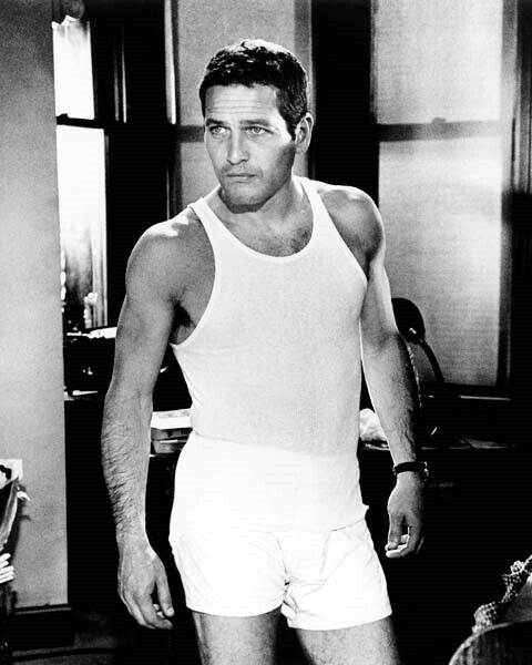 Paul Newman beefcake in his underwear 1966 movie Harper 8x10 inch