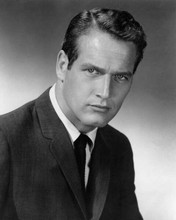 Paul Newman 1950's era studio portrait in suit and tie 8x10 inch photo