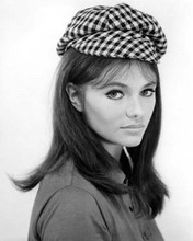 Jacqueline Bisset dons a checkered cap late 1960's glamour portrait 8x10 photo