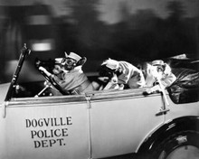 Dogville Police Dept dogs dressed as cops drive convertible old car 8x10 photo