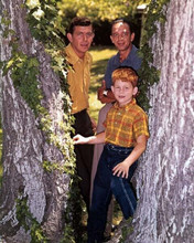 Andy Griffith Show Ron Howard Don Knotts & Andy pose by trees 8x10 photo