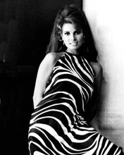 Raquel Welch smiling 1960's pose in black & white striped dress 8x10 photo