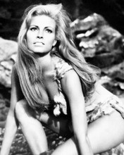 Raquel Welch leggy pin-up in cavegirl outfit One Million Years BC 8x10 photo