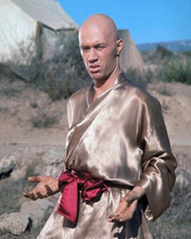 Kung Fu 1972 David Carradine as Caine in fighting stance 8x10 inch photo