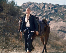 Kung Fu 1970's TV David Carradine as Caine walking with horse 8x10 inch photo