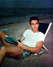 Montgomery Clift in white t-shirt & swim shorts sitting on beach 8x10 photo