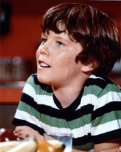 The Brady Bunch Christopher Knight as Peter circa 1970 8x10 inch photo