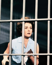 Susan Hayward behind bars in jail 1958 I Want To Live 8x10 inch photo