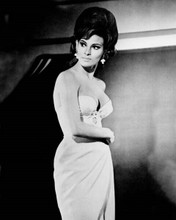 Raquel Welch very busty in bra and skirt mid 1960's era 8x10 inch photo