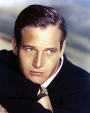 Paul Newman young 1950's studio portrait in black sweater 8x10 inch photo