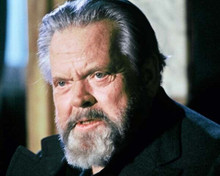 Orson Welles charismatic portrait in his later years 8x10 inch photo
