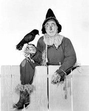 The Wizard of Oz Ray Bolger holding crow as The Scarecrow 8x10 inch photo