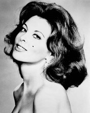 Tina Louise beautiful bare-shouldered glamour portrait 8x10 inch photo