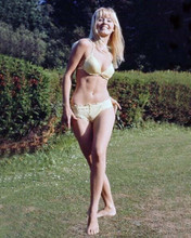 Yutte Stensgaard in yellow bikini smiling outdoor pose 1970's era 8x10 photo