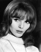 Elsa Martinelli beautiful 1960's portrait in white sweater 8x10 inch photo