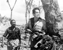 Safari 1956 Victor Mature in safari jacket holding rifle by tree 8x10 inch photo