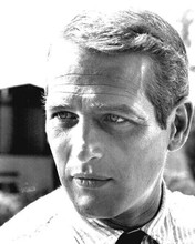 Paul Newman looking cool and debonair in shirt & tie 1960's 8x10 inch photo