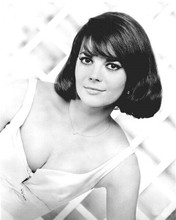 Natalie Wood shows off huge cleavage in white dress 1960's 8x10 inch photo
