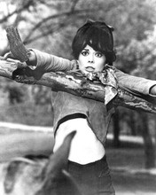 Natalie Wood shows belly button holds on tree branch 1966 Penelope 8x10 photo
