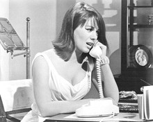Natalie Wood talking on telephone 1965 Sex And The Single Girl 8x10 inch photo