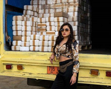 Teresa Ruiz stands by truck packed with drugs in Narcos Mexico 8x10 inch photo