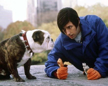 Adam Sandler in Central Park NY with dog 2000 Little Nicky 8x10 inch photo