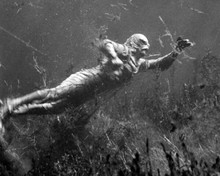 Creature From The Black Lagoon Gill Man swimming underwater 8x10 inch photo