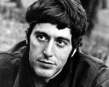 Al Pacino young portrait 1971 Panic in Needle Park 8x10 inch photo