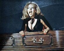 Ingrid Pitt bares vampire fangs The House That Dripped Blood 8x10 inch photo