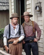 The Apple Dumpling Gang Rides Again 1979 Tim Conway Don Knotts 8x10 inch photo