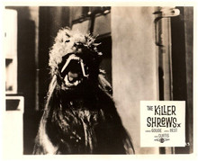 The Killer Shrews 1959 shrew bares it fangs 8x10 inch photo