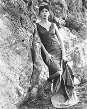 Leslie Caron full body shot posing by rocks 1960's era 8x10 inch photo